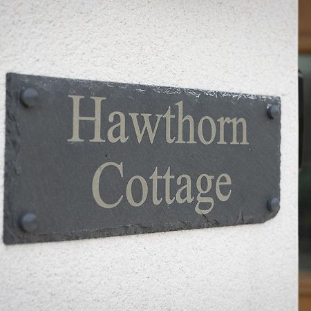Hawthorn Cottage Тенбі Екстер'єр фото